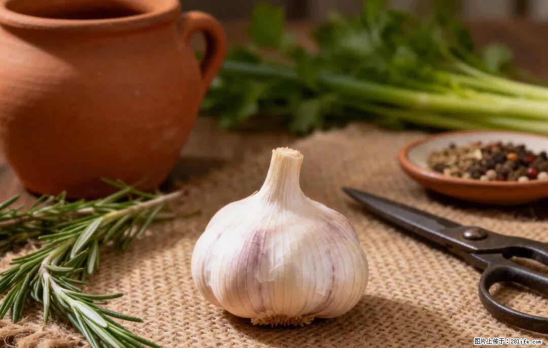关于大蒜，除了“天然抗生素”，这4个谣言更该警惕! - 青岛生活资讯 - 青岛28生活网 qd.28life.com