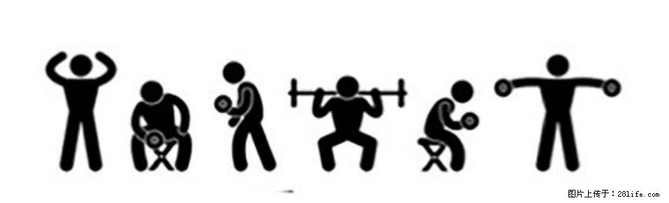 坚持这种运动6个月，心脏有了显著变化！不是跑步，也不是走路 - 青岛生活资讯 - 青岛28生活网 qd.28life.com