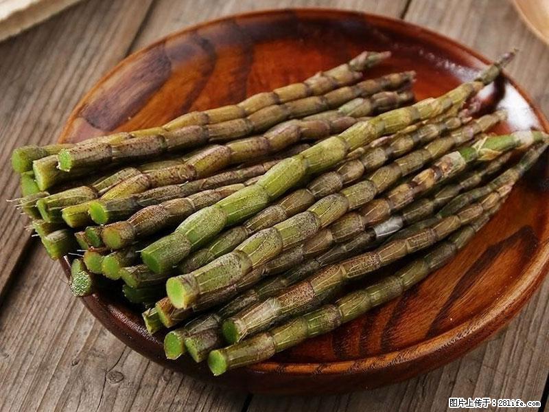 铁皮石斛的作用与功能主治 - 青岛生活资讯 - 青岛28生活网 qd.28life.com