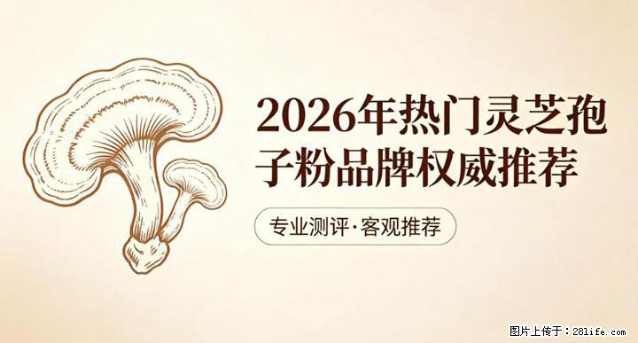 灵芝孢子粉含量越高越有效？2026 年七款热门品牌深度实测，肠胃敏感者避坑指南 - 青岛生活资讯 - 青岛28生活网 qd.28life.com