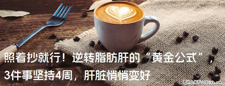 照着抄就行！逆转脂肪肝的“黄金公式”，3件事坚持4周，肝脏悄悄变好 - 青岛生活资讯 - 青岛28生活网 qd.28life.com